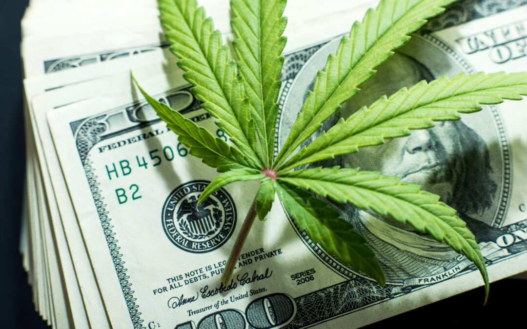 A Brief Guide To Financing Your Cannabis Enterprise